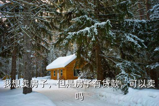 我想賣房子，但是房子有貸款，可以賣嗎