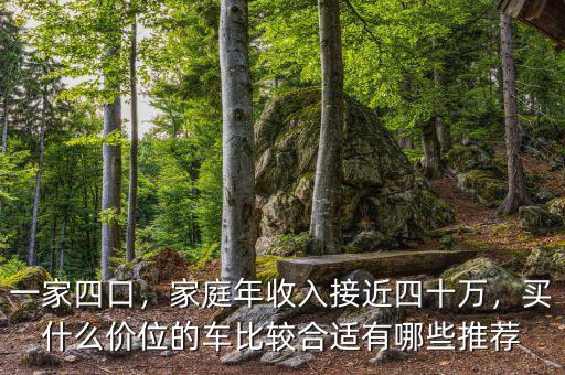 一家四口，家庭年收入接近四十萬，買什么價(jià)位的車比較合適有哪些推薦