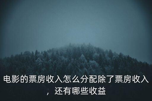 電影的票房收入怎么分配除了票房收入，還有哪些收益