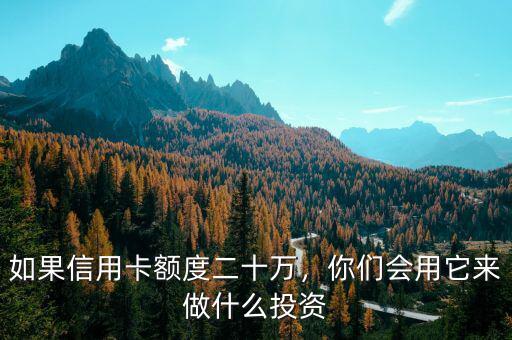 如果信用卡額度二十萬，你們會用它來做什么投資