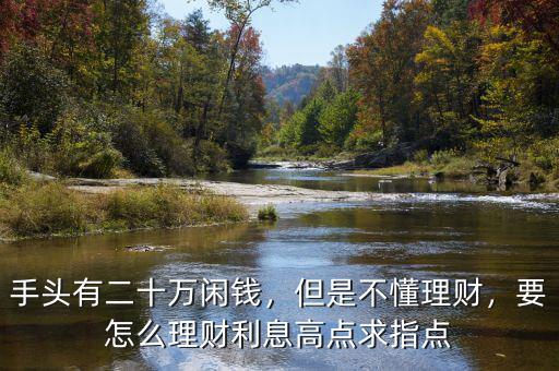 手頭有二十萬(wàn)閑錢，但是不懂理財(cái)，要怎么理財(cái)利息高點(diǎn)求指點(diǎn)