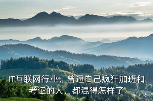IT互聯(lián)網(wǎng)行業(yè)，曾逼自己瘋狂加班和考證的人，都混得怎樣了