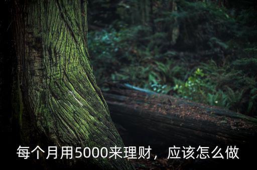 每個(gè)月用5000來(lái)理財(cái)，應(yīng)該怎么做
