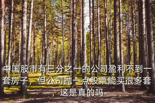 中國股市有三分之一的公司盈利不到一套房子，但公司拋一點(diǎn)股票能買很多套，這是真的嗎