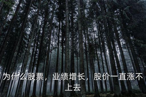 為什么股票，業(yè)績(jī)?cè)鲩L(zhǎng)，股價(jià)一直漲不上去