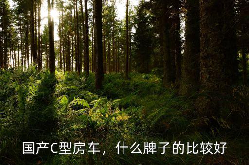 國產(chǎn)C型房車，什么牌子的比較好