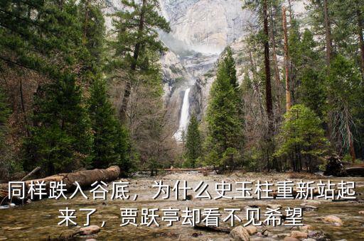 同樣跌入谷底，為什么史玉柱重新站起來了，賈躍亭卻看不見希望