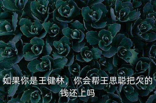 如果你是王健林，你會(huì)幫王思聰把欠的錢還上嗎