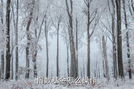 指數基金怎么取出,指數基金怎么操作