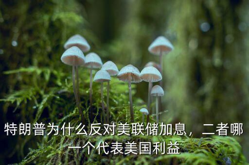 特朗普為什么反對美聯儲加息，二者哪一個代表美國利益