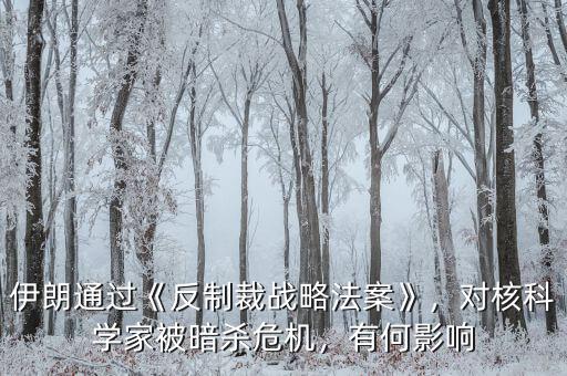 伊朗通過《反制裁戰(zhàn)略法案》，對(duì)核科學(xué)家被暗殺危機(jī)，有何影響