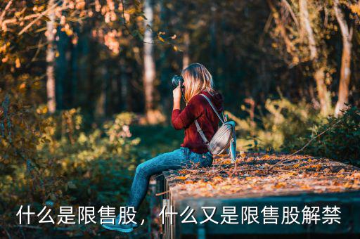 什么是限售股，什么又是限售股解禁