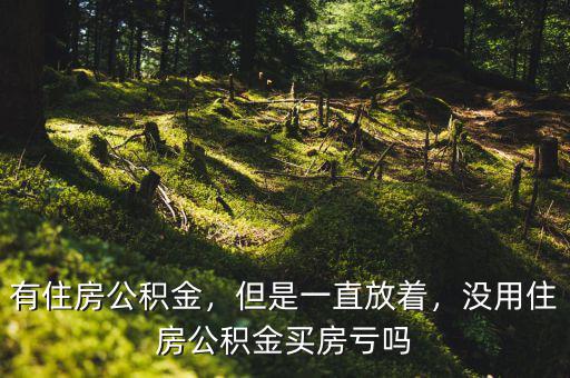 有住房公積金，但是一直放著，沒用住房公積金買房虧嗎