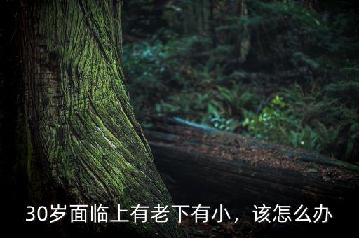 30歲面臨上有老下有小，該怎么辦
