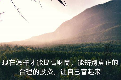 現(xiàn)在怎樣才能提高財(cái)商，能辨別真正的合理的投資，讓自己富起來