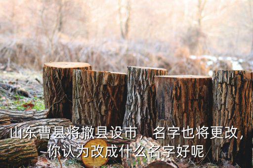 山東曹縣將撤縣設市，名字也將更改，你認為改成什么名字好呢