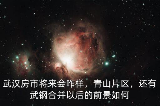 武漢房市將來(lái)會(huì)咋樣，青山片區(qū)，還有武鋼合并以后的前景如何