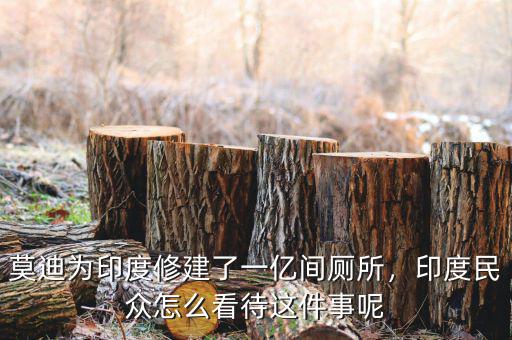 莫迪為印度修建了一億間廁所，印度民眾怎么看待這件事呢