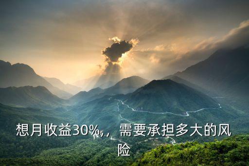 想月收益30%,，需要承擔(dān)多大的風(fēng)險
