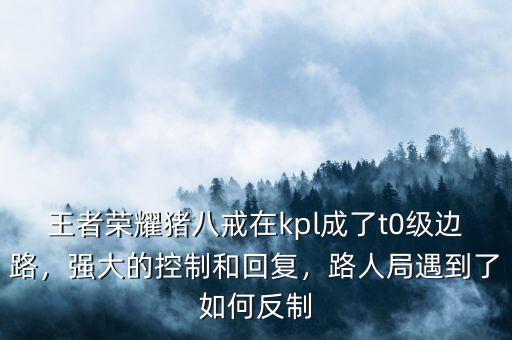 王者榮耀豬八戒在kpl成了t0級邊路，強(qiáng)大的控制和回復(fù)，路人局遇到了如何反制