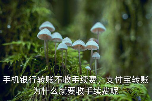 支付寶轉賬為什么收費,通過網(wǎng)銀轉錢到支付寶