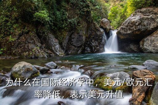 為什么在國(guó)際經(jīng)濟(jì)學(xué)中，美元/歐元匯率降低，表示美元升值