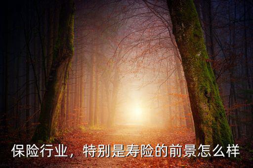 保險(xiǎn)行業(yè)，特別是壽險(xiǎn)的前景怎么樣