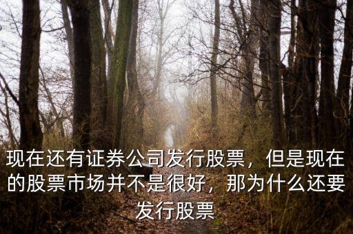 現(xiàn)在還有證券公司發(fā)行股票，但是現(xiàn)在的股票市場并不是很好，那為什么還要發(fā)行股票