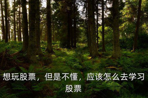 想玩股票，但是不懂，應(yīng)該怎么去學(xué)習(xí)股票