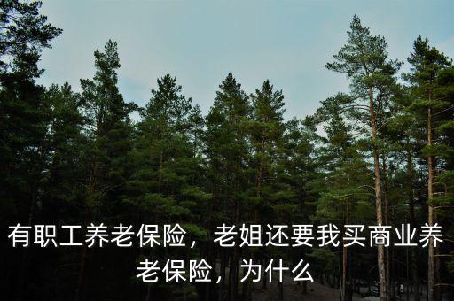 有職工養(yǎng)老保險，老姐還要我買商業(yè)養(yǎng)老保險，為什么