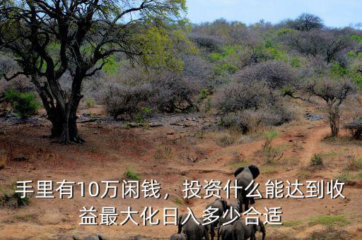 手里有10萬閑錢，投資什么能達(dá)到收益最大化日入多少合適