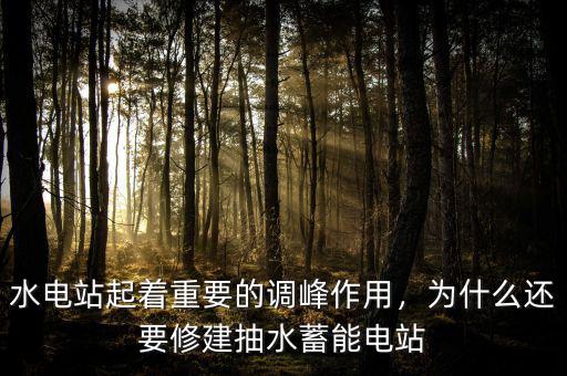 水電站起著重要的調(diào)峰作用，為什么還要修建抽水蓄能電站
