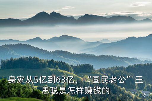 身家從5億到63億，“國(guó)民老公”王思聰是怎樣賺錢(qián)的