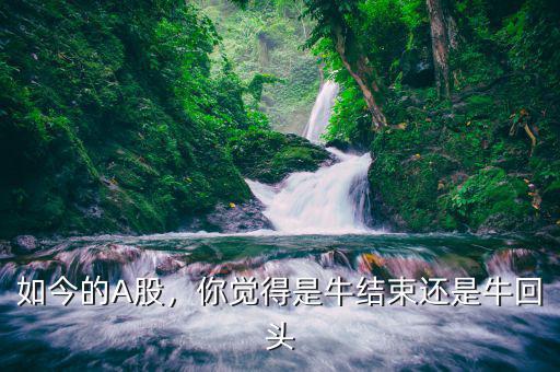 如今的A股，你覺(jué)得是牛結(jié)束還是?；仡^