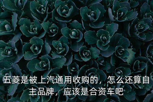 五菱是被上汽通用收購的，怎么還算自主品牌，應(yīng)該是合資車吧