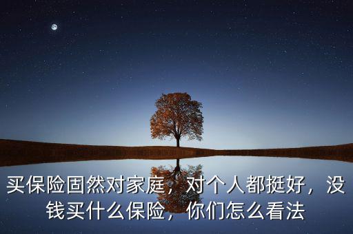 買保險(xiǎn)固然對(duì)家庭，對(duì)個(gè)人都挺好，沒錢買什么保險(xiǎn)，你們?cè)趺纯捶? class=