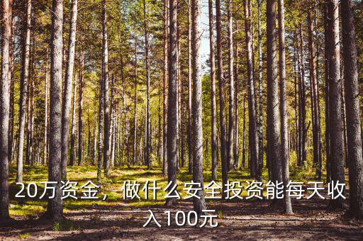 20萬(wàn)資金，做什么安全投資能每天收入100元