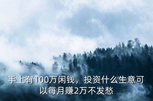 手上有100萬(wàn)閑錢，投資什么生意可以每月賺2萬(wàn)不發(fā)愁