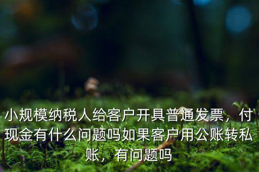 小規(guī)模納稅人給客戶開具普通發(fā)票，付現(xiàn)金有什么問題嗎如果客戶用公賬轉(zhuǎn)私賬，有問題嗎