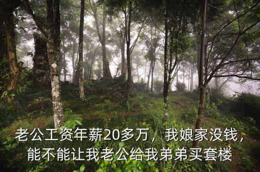 老公工資年薪20多萬，我娘家沒錢，能不能讓我老公給我弟弟買套樓