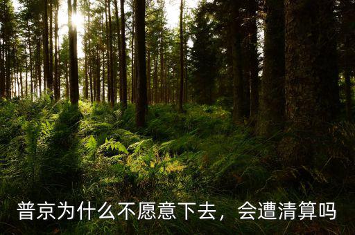 普京為什么不愿意下去，會(huì)遭清算嗎