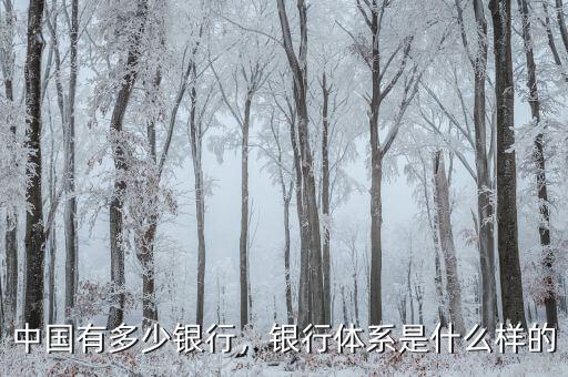中國(guó)有多少銀行，銀行體系是什么樣的