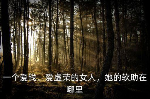 一個(gè)愛錢、愛虛榮的女人，她的軟助在哪里