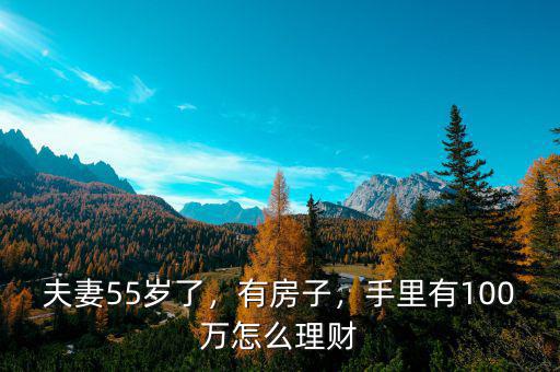 夫妻55歲了，有房子，手里有100萬怎么理財(cái)