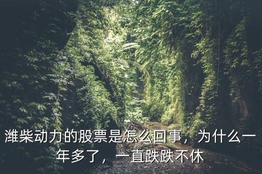 濰柴動(dòng)力的股票是怎么回事，為什么一年多了，一直跌跌不休