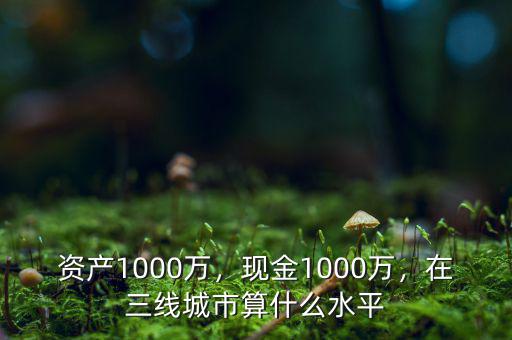 資產(chǎn)1000萬，現(xiàn)金1000萬，在三線城市算什么水平