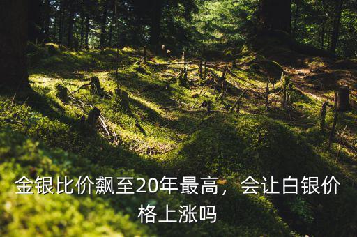金銀比價(jià)飆至20年最高，會(huì)讓白銀價(jià)格上漲嗎