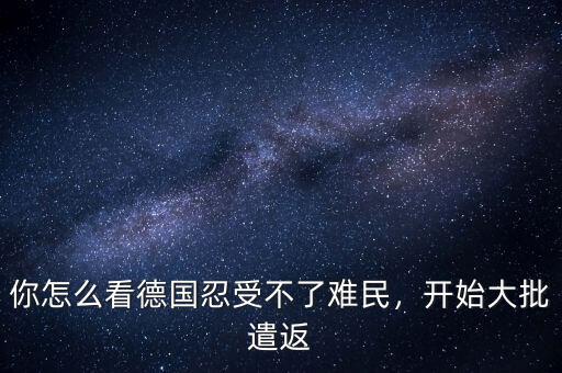 你怎么看德國忍受不了難民，開始大批遣返