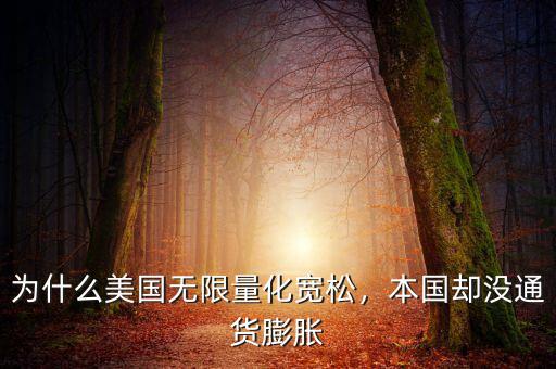 為什么美國無限量化寬松，本國卻沒通貨膨脹