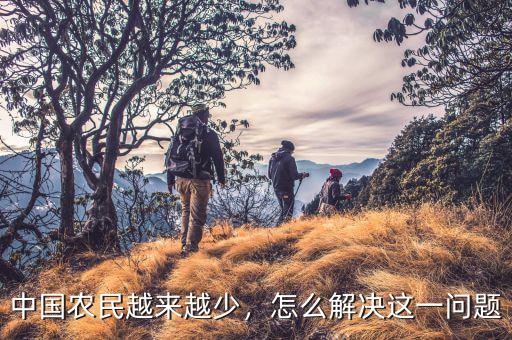 中國農(nóng)民越來越少，怎么解決這一問題